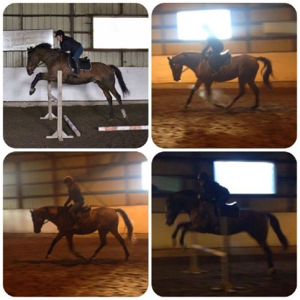 Il ne cessera jamais de me surprendre ce petit cheval <3 