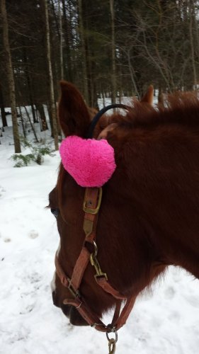 Blaze et ses cache-oreilles