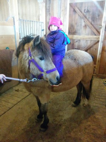 Ma fille sur sa ponette !  Nous avons su la semaine dernière que...