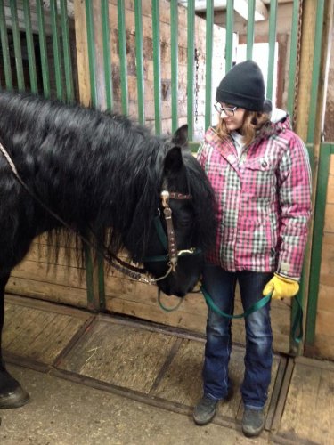 Voici Marcus, un magnifique cheval de 12 ans qui n'avait jamais...
