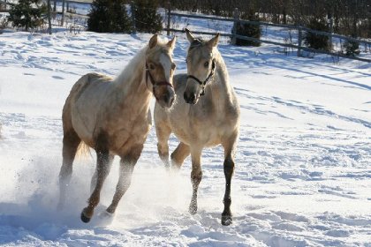 Sakari et son amie Chumani