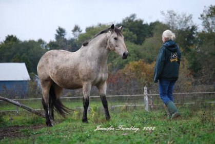 Un amour comme sa , sa ne soublie pas ! Duke