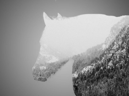 Petit montage de ma jument :) 