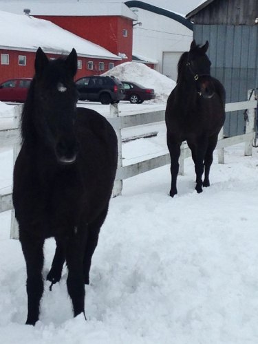 photo par gossip