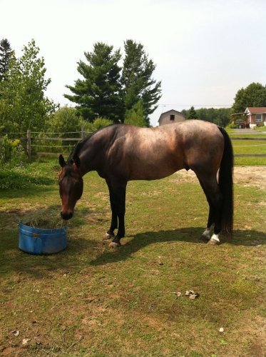 photo par gossip