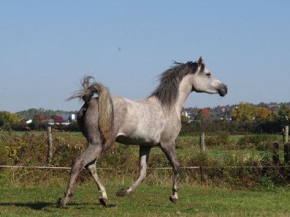 Encore et toujours ma belle Esscapade !