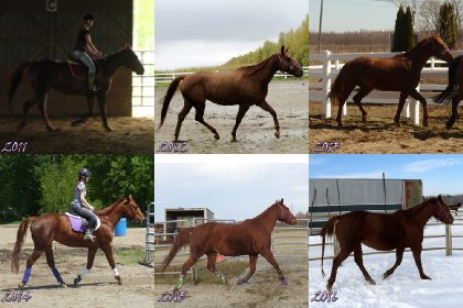 2016 sera une année spéciale... 15 ans pour Cowgirl, 6 ans que...