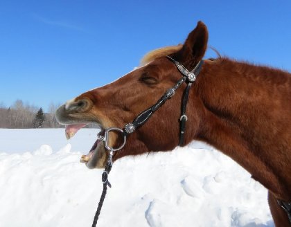 Haaaaa... Maudit hiver! Va t'en! lol 