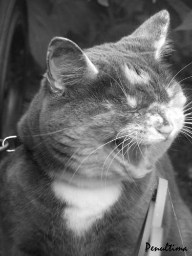 mon minet hihihi ..lili