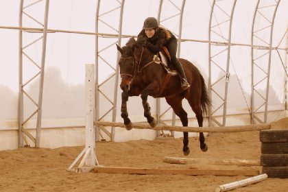 Mickina et moi ^ On progresse! 
