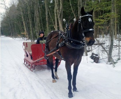 Ma belle Whisper- hiver 2016
