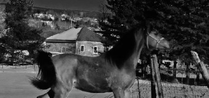 mon beau bb, 2ans!