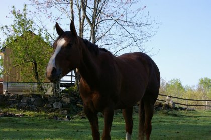 photo par Poney483