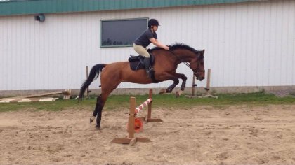 L'entrainement pour les concours continu! Pas mal fière de mon...
