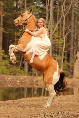 En fée avec mon poney magique aha !