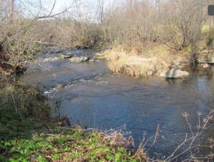 Les sabots du ruisseau 