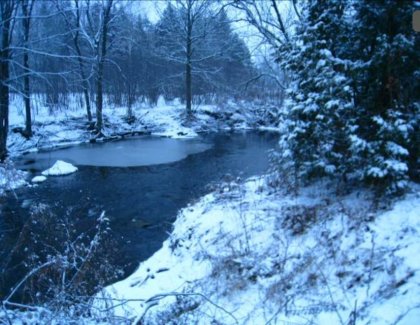 Les sabots du ruisseau 