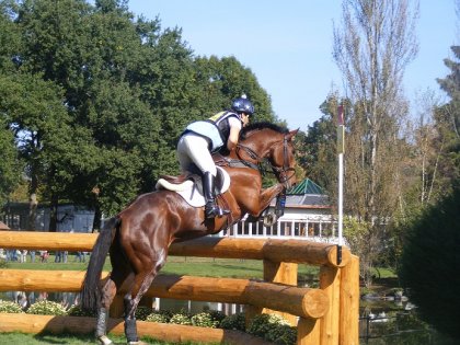 Obstacle franchi au Concours Complet International 4* de Pau en...