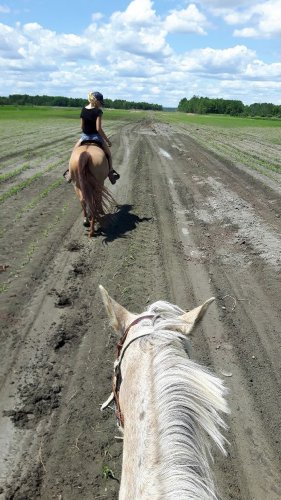 Une petite randonnée avec les bb :)