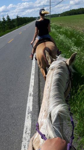 Une petite randonnée avec les bb :)