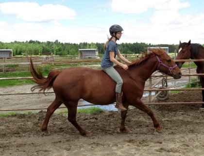 Galop à cru ! Cowgirl fait les oreilles à cause de Butler qui...