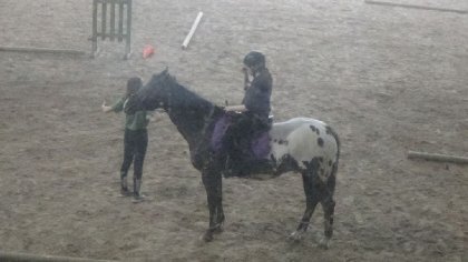 Cours avec loulou<3