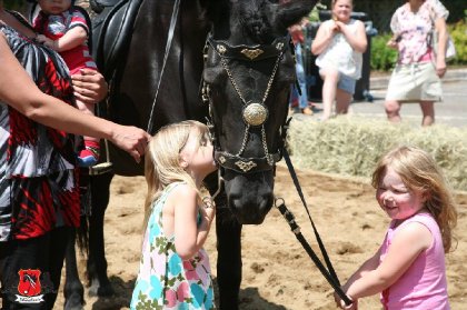 Beaux moments partagés par les familles et enfants au Parc...