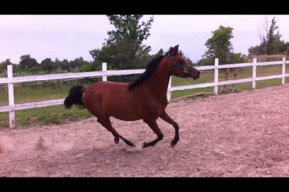 Cybelle :)