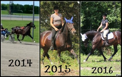 Ma belle Cristal, Standardbred 8 ans <3