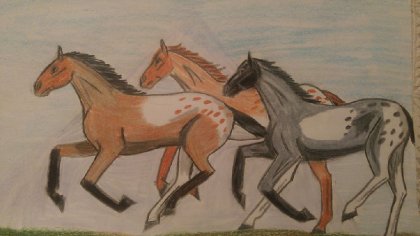 pintaloosa