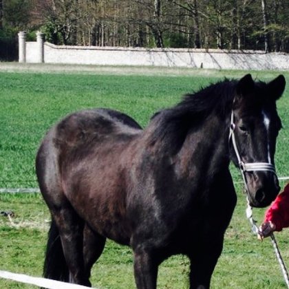 ( je n'est pas trouve une photo quand elle etait malade dsl) ma...