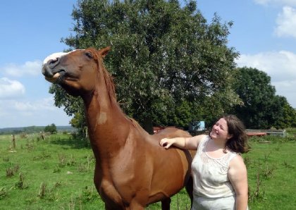 Ce n'est plus un cheval mais un lama XD