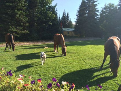 photo par Mary&Azera