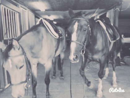 Mulane et Simone