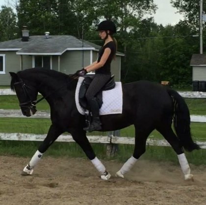 photo par Patriot9