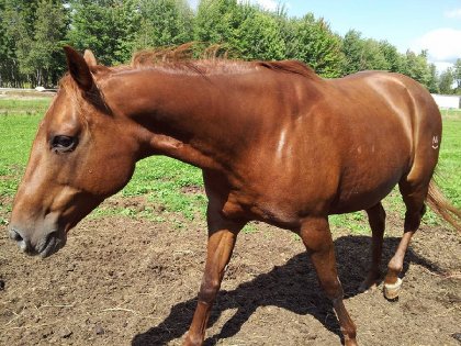 Ma toutoune commence sérieusement à muscler ! Moins de gras,...