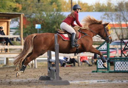 Sur ma jument au concours amical au Centre ÉquiAction, 9 octobre...