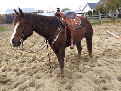 Mon petit Cash and Dash