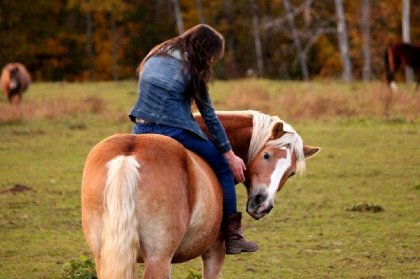 L'automne <3