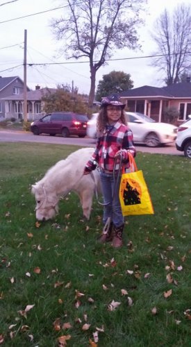 Halloween 2016