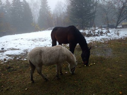 jack et indy 