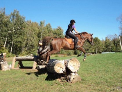 Saut à cheval de deux troncs d'arbre
