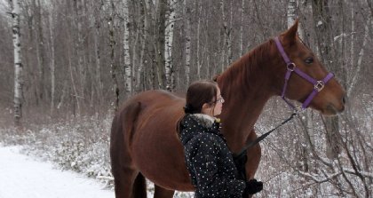 Flash back hiver 2013-2014 !