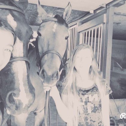 Photo en «négatif» dans une écurie