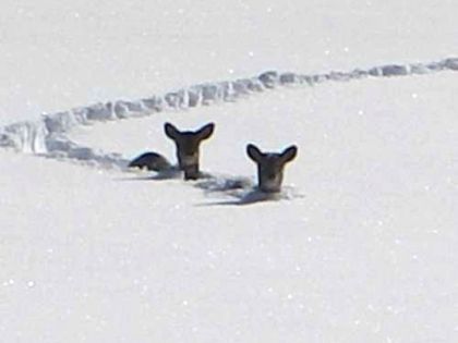 Photo prise à Rimouski