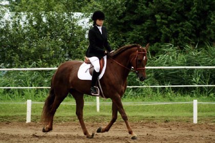 Cavalière classique sur son cheval