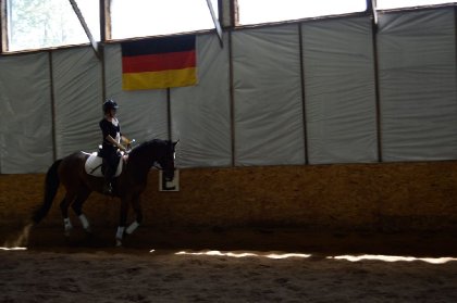 Le moment précis où j'ai su que c'était mon futur cheval