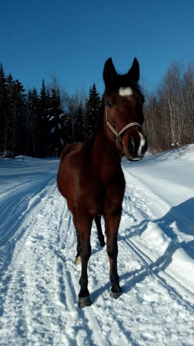 photo par Jezabel