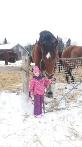 Ma fille avec Dusty un cheval de trait, au Centre équestre de la...
