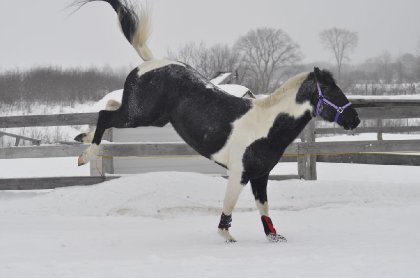 Petit plaisir d'hiver avec Rosabelle-Luna<3 